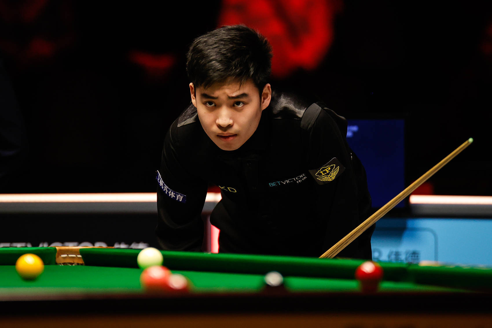 但这支球队 但这支球队