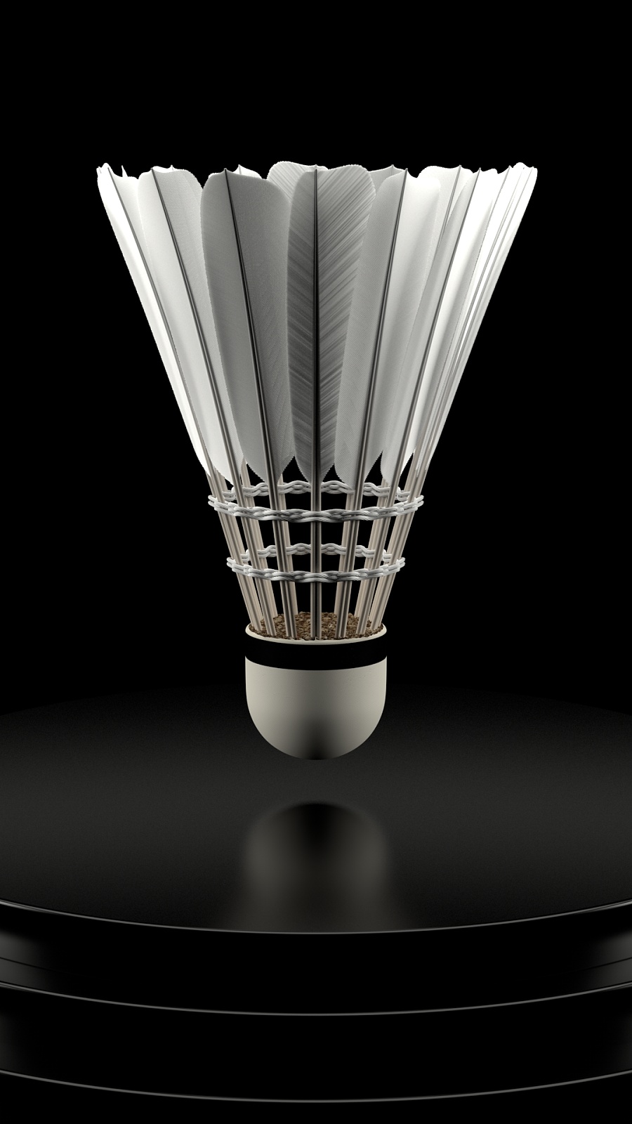 梅西在赛场 梅西在赛场