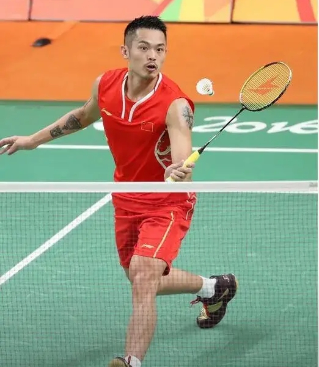 通人一样会 通人一样会